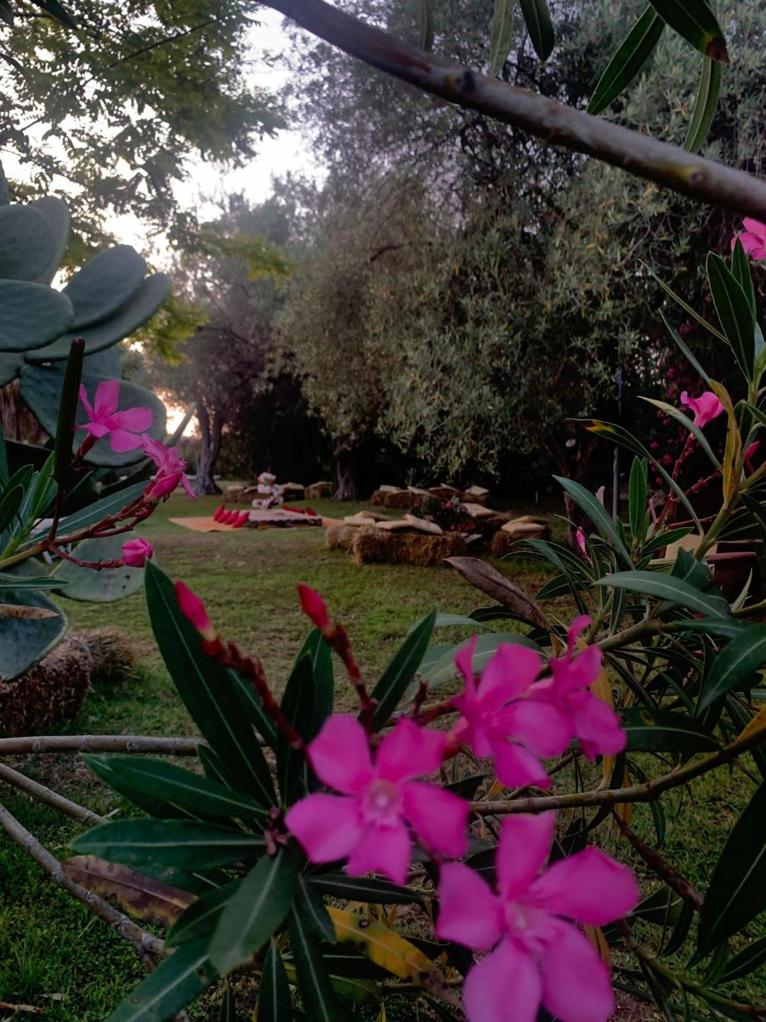 Valle Di Mare Country Resort ฟอนตาเน บีอานเก ภายนอก รูปภาพ