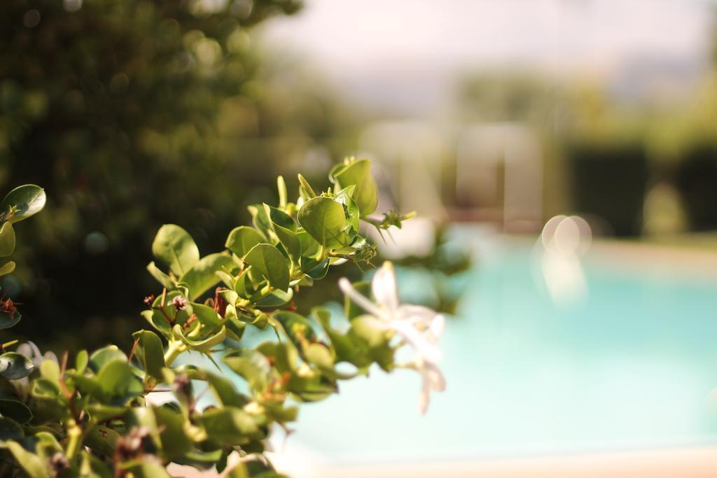 Valle Di Mare Country Resort ฟอนตาเน บีอานเก ภายนอก รูปภาพ